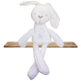 Cute Baby Bunny Sleeping Mate