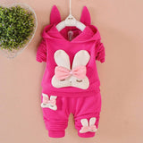 Winter Baby Hooded Clothes