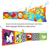 Baby Toys Multi-Touch Multifunction Fun And Double Colorful Cloth